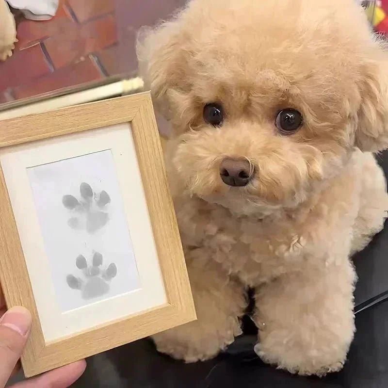 ForeverPaws™ - Inkless Paw/Handprint with Photo Frame - Levora
