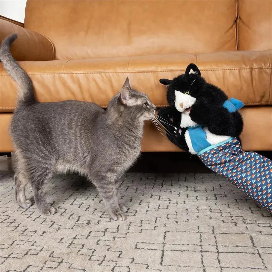 PurrPlay™ – The perfect toy for hours of feline fun! - Levora