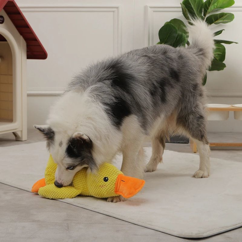 Quacky - Ultimate Plush Dog Toy – Duck Shape - Levora