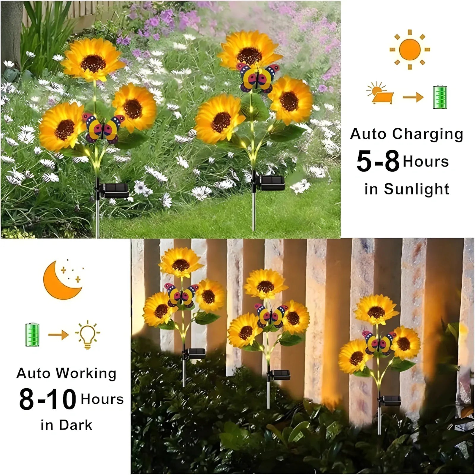 SunBloom™ – Let your garden shine & enjoy atmospheric evenings! - Levora
