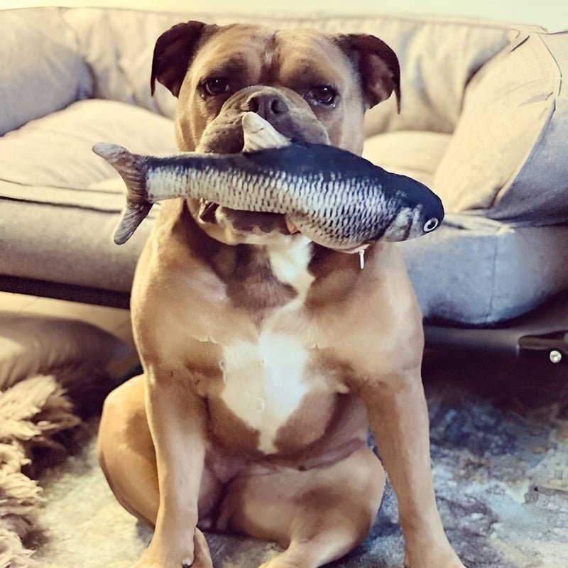 FishBop™ - Interactive fun for your furry friends - Levora