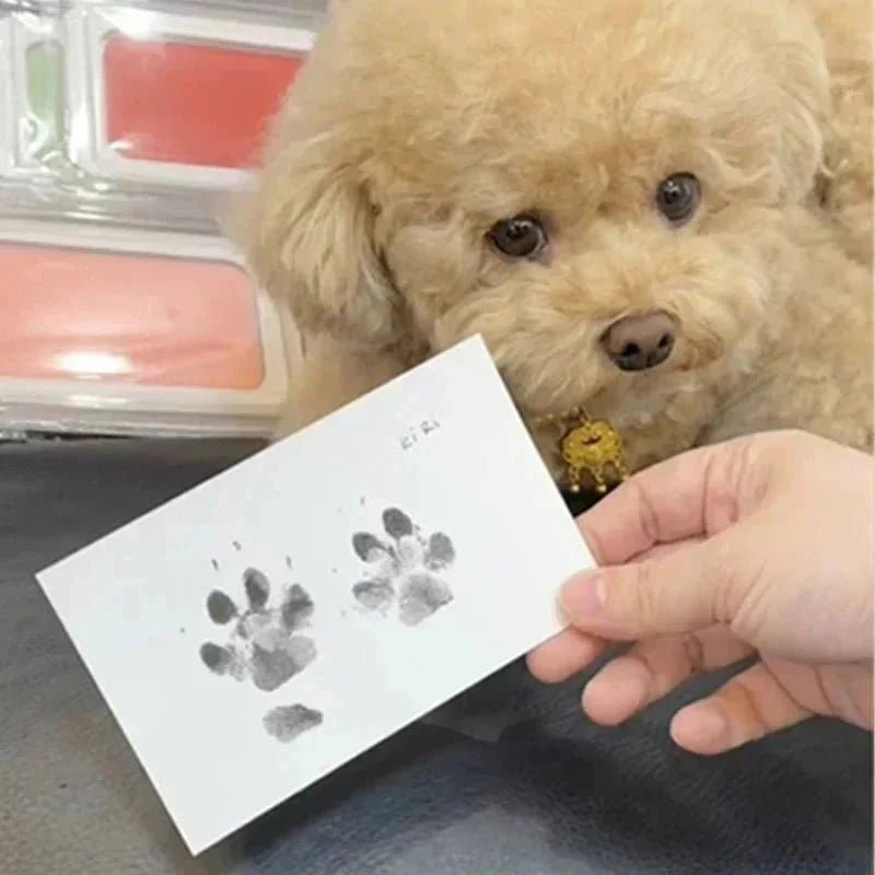 ForeverPaws™ - Inkless Paw/Handprint with Photo Frame - Levora