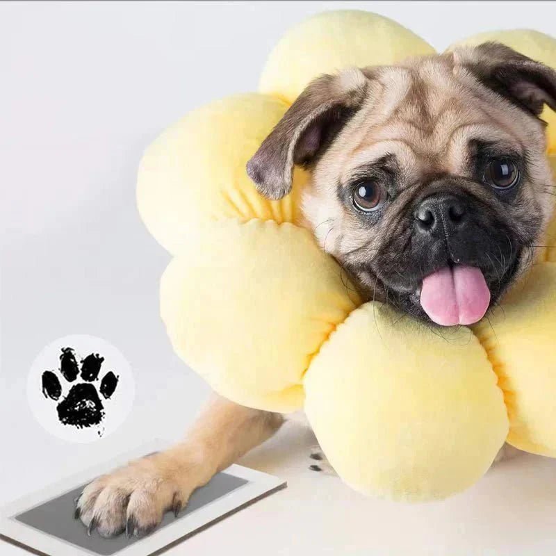 ForeverPaws™ - Inkless Paw/Handprint with Photo Frame - Levora