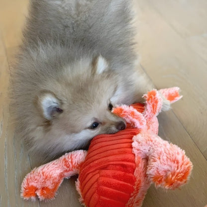 FurryPal™ - Endless fun for your furry friend - Levora