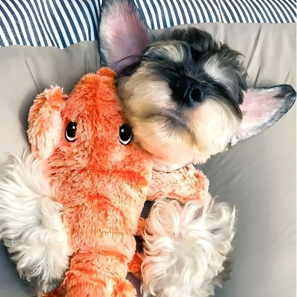 FurryPal™ - Endless fun for your furry friend - Levora