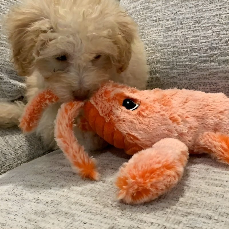 FurryPal™ - Endless fun for your furry friend - Levora