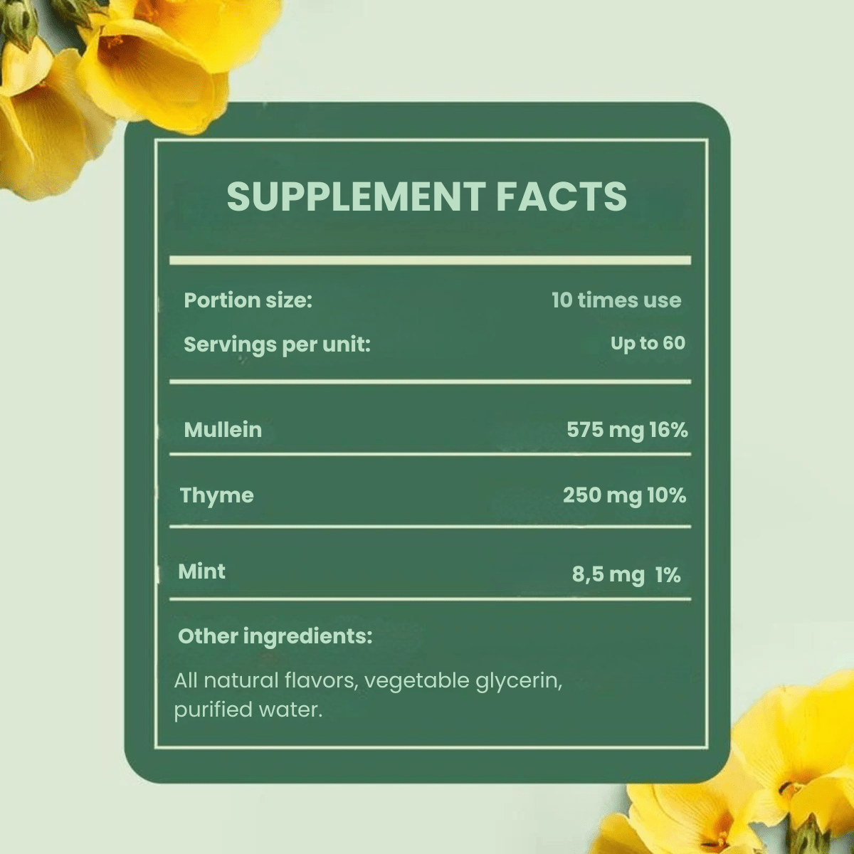 LungGuard™ – Cleanse your lungs & breathe easier every day! - Levora