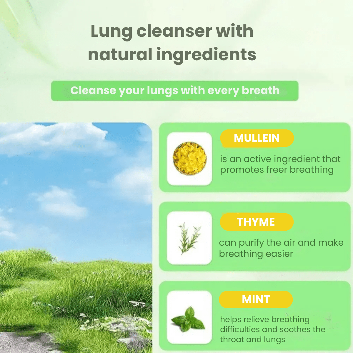 LungGuard™ – Cleanse your lungs & breathe easier every day! - Levora