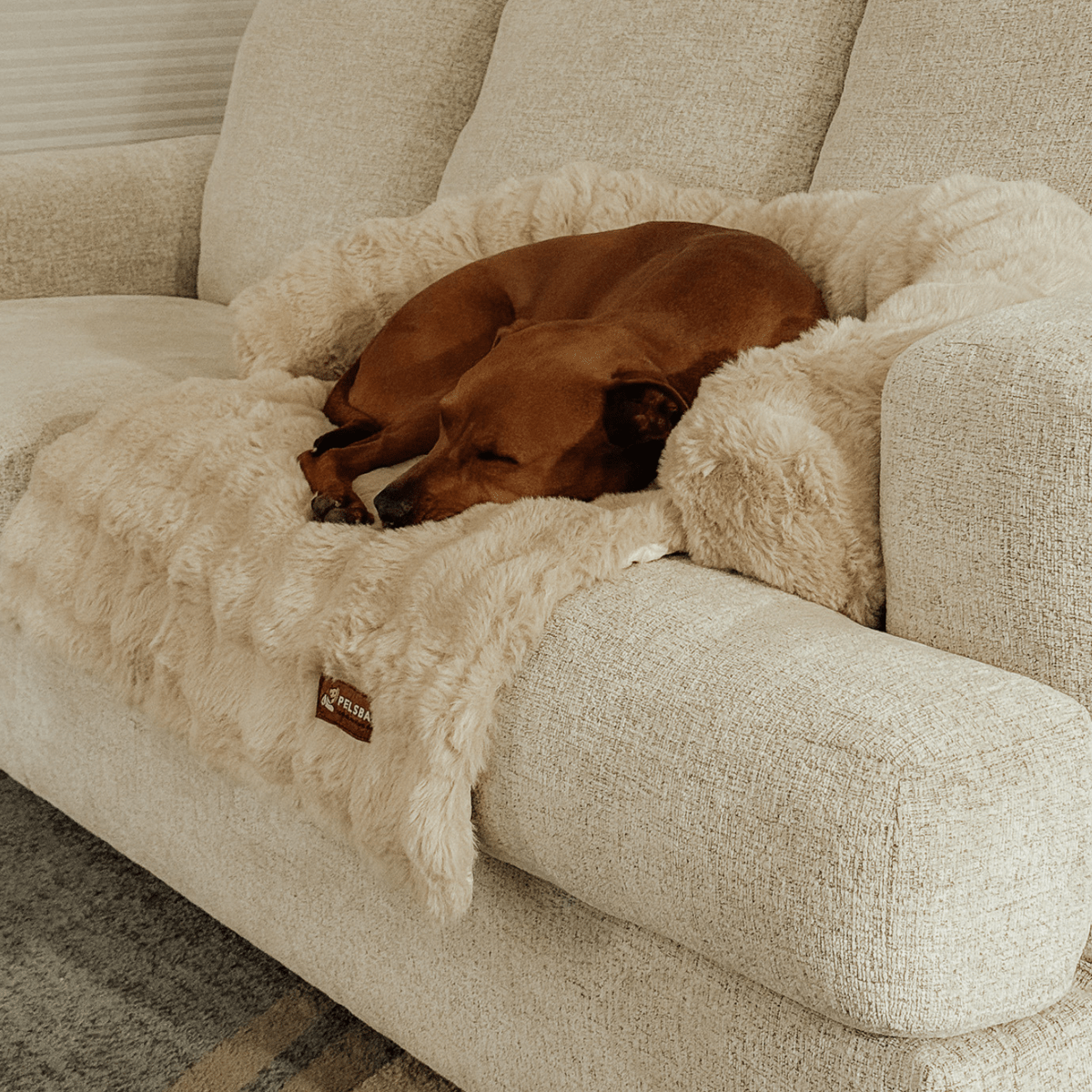 Pelsbarn Luxurious Sofa Bed - Levora