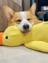 Quacky - Ultimate Plush Dog Toy – Duck Shape - Levora