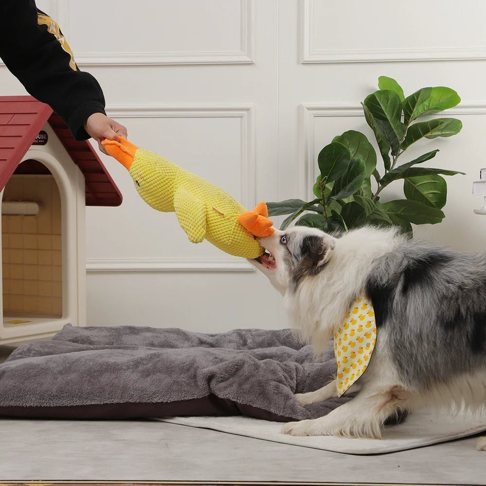 Quacky - Ultimate Plush Dog Toy – Duck Shape - Levora