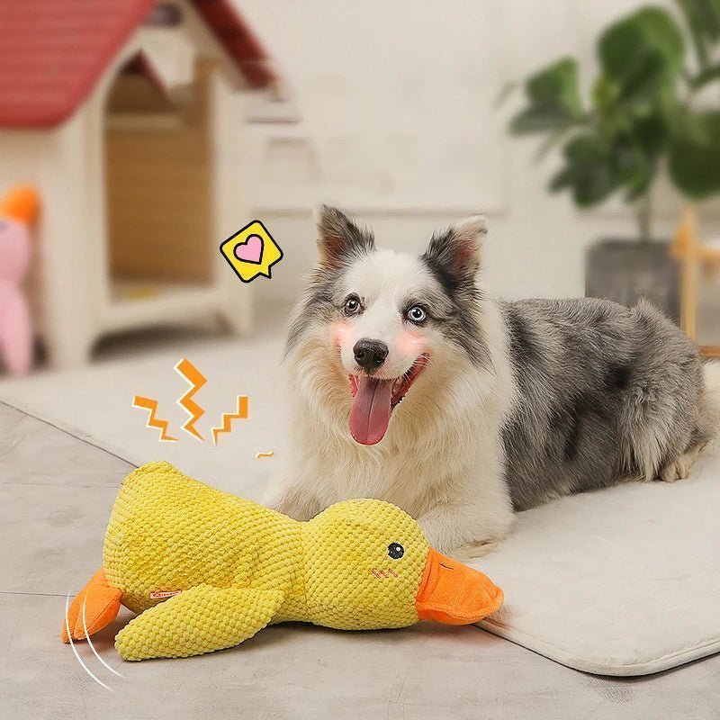Quacky - Ultimate Plush Dog Toy – Duck Shape - Levora