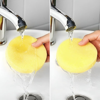 ShineGuard™ - Cleaner and Protector - Levora